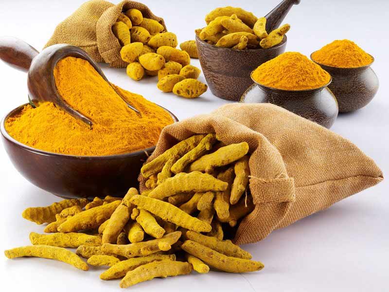 تاریخچه گیاه زردچوبه-Turmeric plant