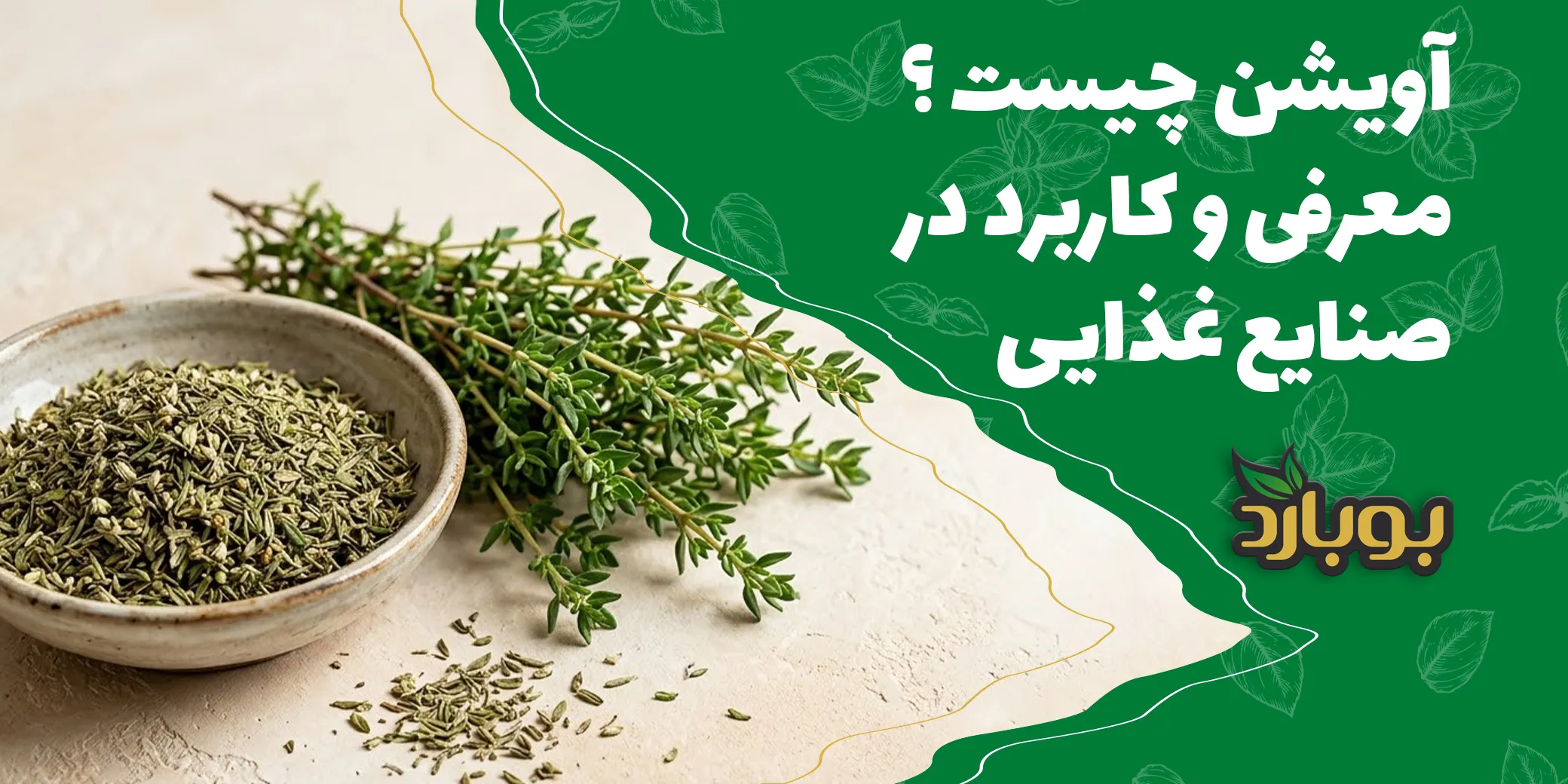 آویشن چیست ؟ معرفی گیاه و کاربردهای آن در صنایع غذایی