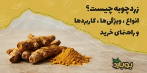 زردچوبه چیست؟ انواع ، ویژگی‌ها ، کاربردها و راهنمای خرید
