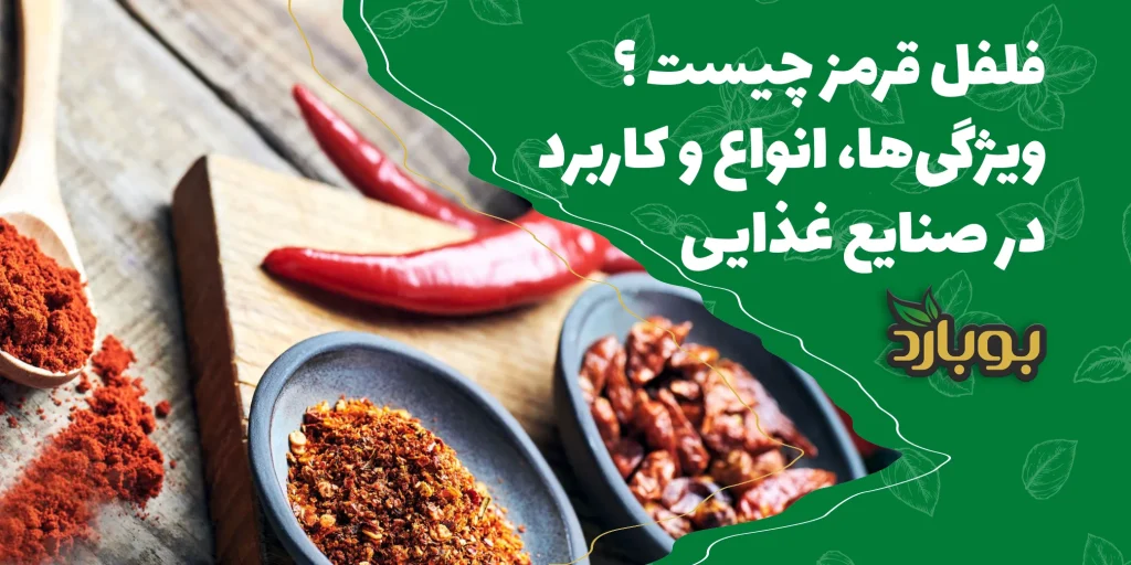 فلفل قرمز چیست ؟ ویژگی‌ها، انواع و کاربردهای آن در صنایع غذایی