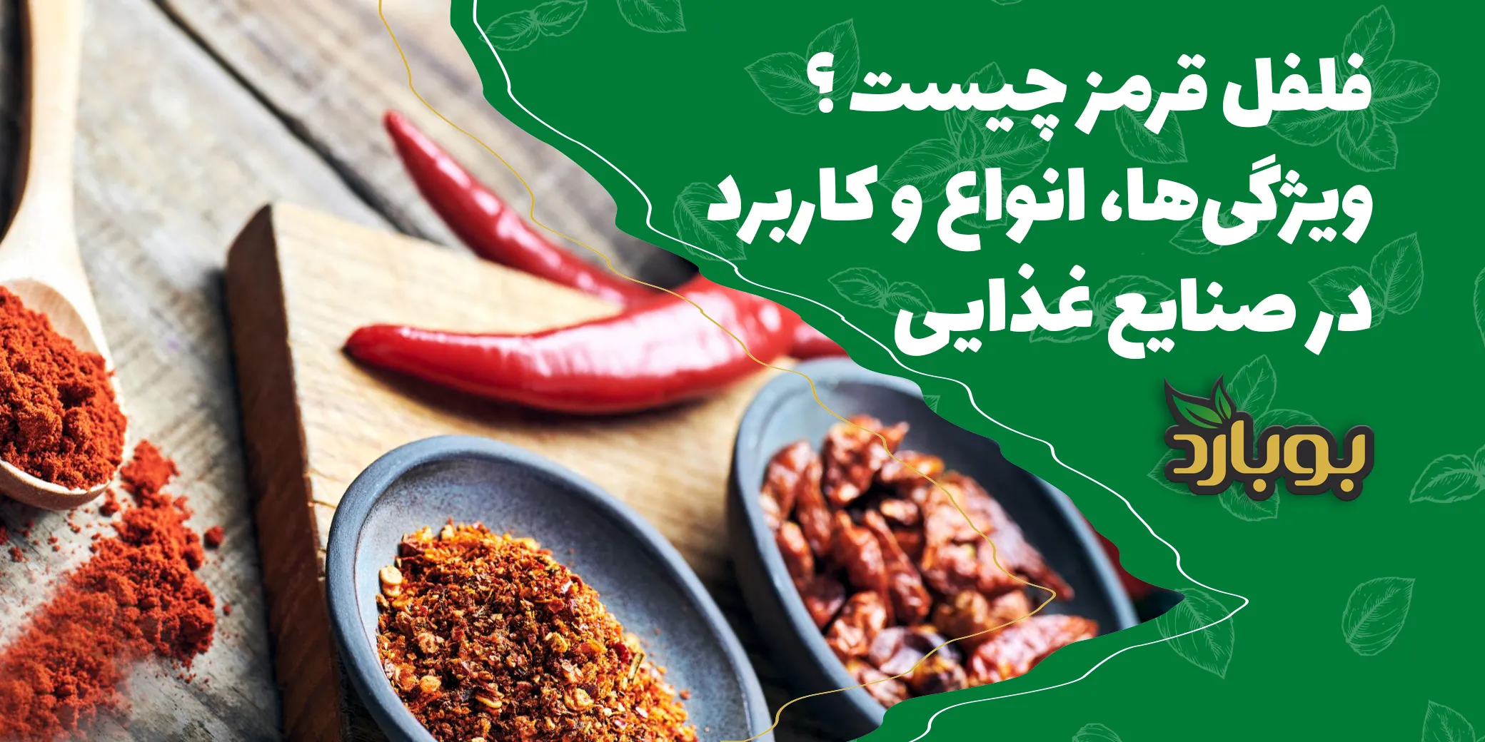 فلفل قرمز چیست ؟ ویژگی‌ها، انواع و کاربردهای آن در صنایع غذایی