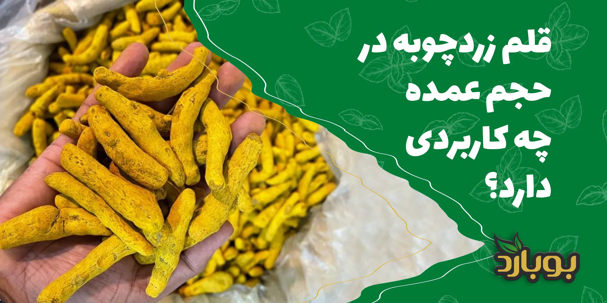 قلم زردچوبه چه کاربردی دارد؟