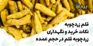 قلم زردچوبه چیست؟ روش استفاده، آسیاب و تفاوت با پودر