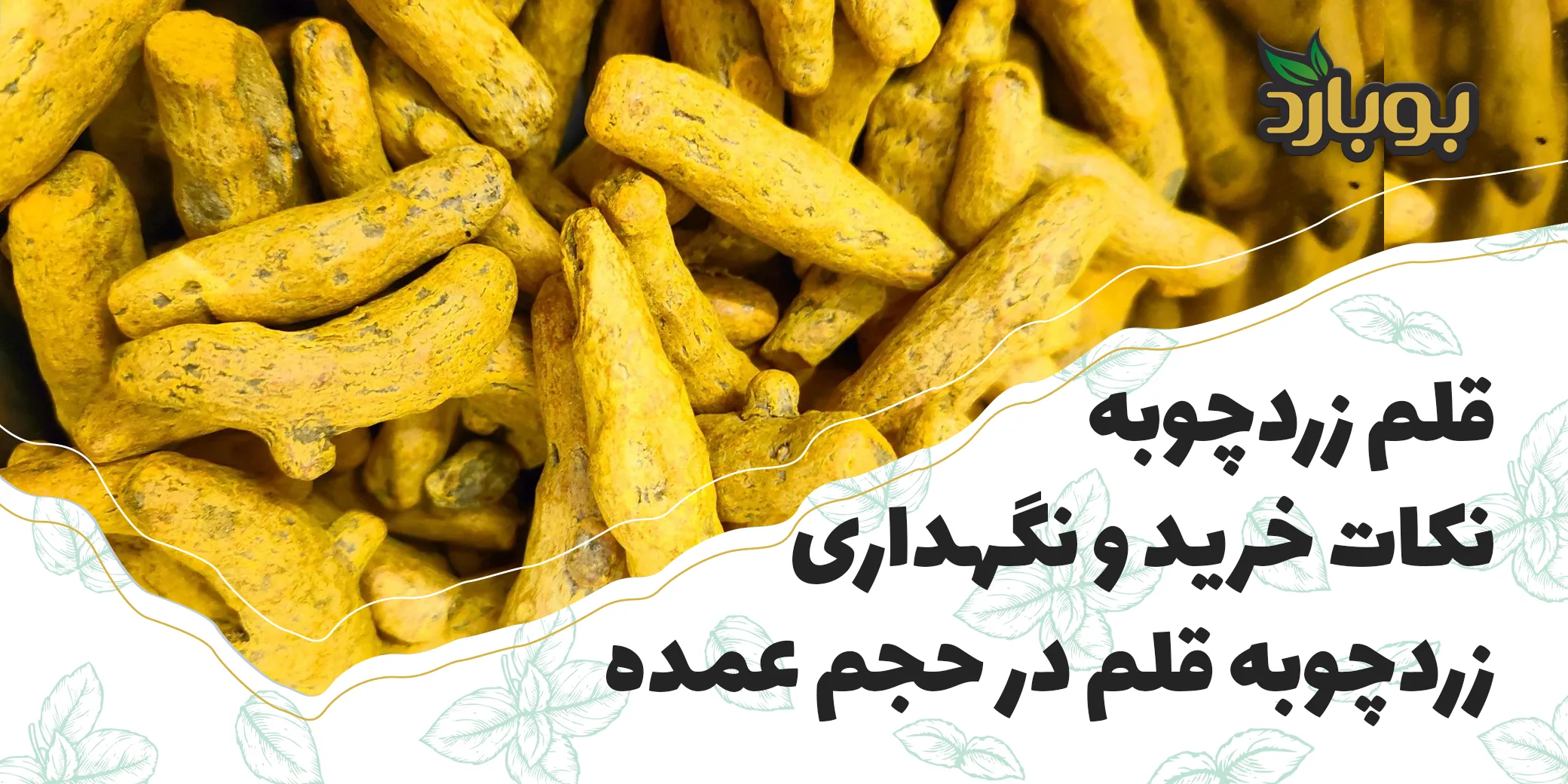 قلم زردچوبه چیست؟ روش استفاده، آسیاب و تفاوت با پودر