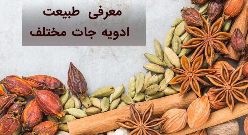 معرفی طبیعت ادویه جات مختلف