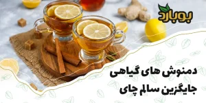 فروشگاه تخصصی ادویه بوبارد ، خرید انواع گیاهان برای دمنوش های گیاهی