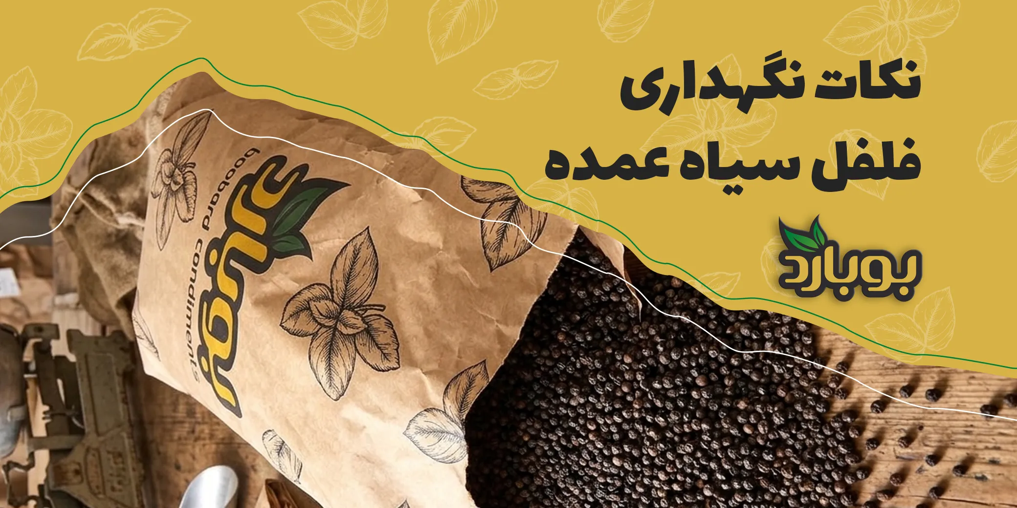 نکات نگهداری فلفل سیاه عمده ؛ راهنمای پودر و دانه کامل