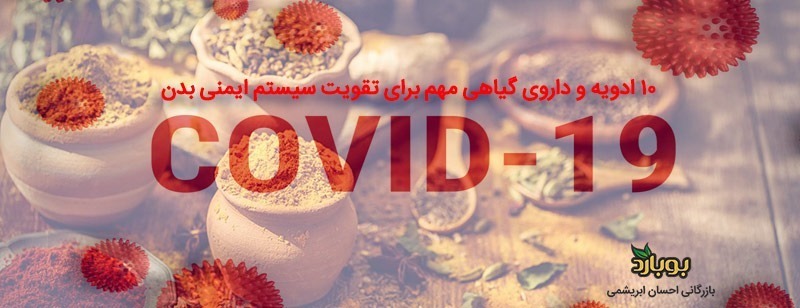 10 ادویه و داروی گیاهی مهم برای تقویت سیستم ایمنی بدن
