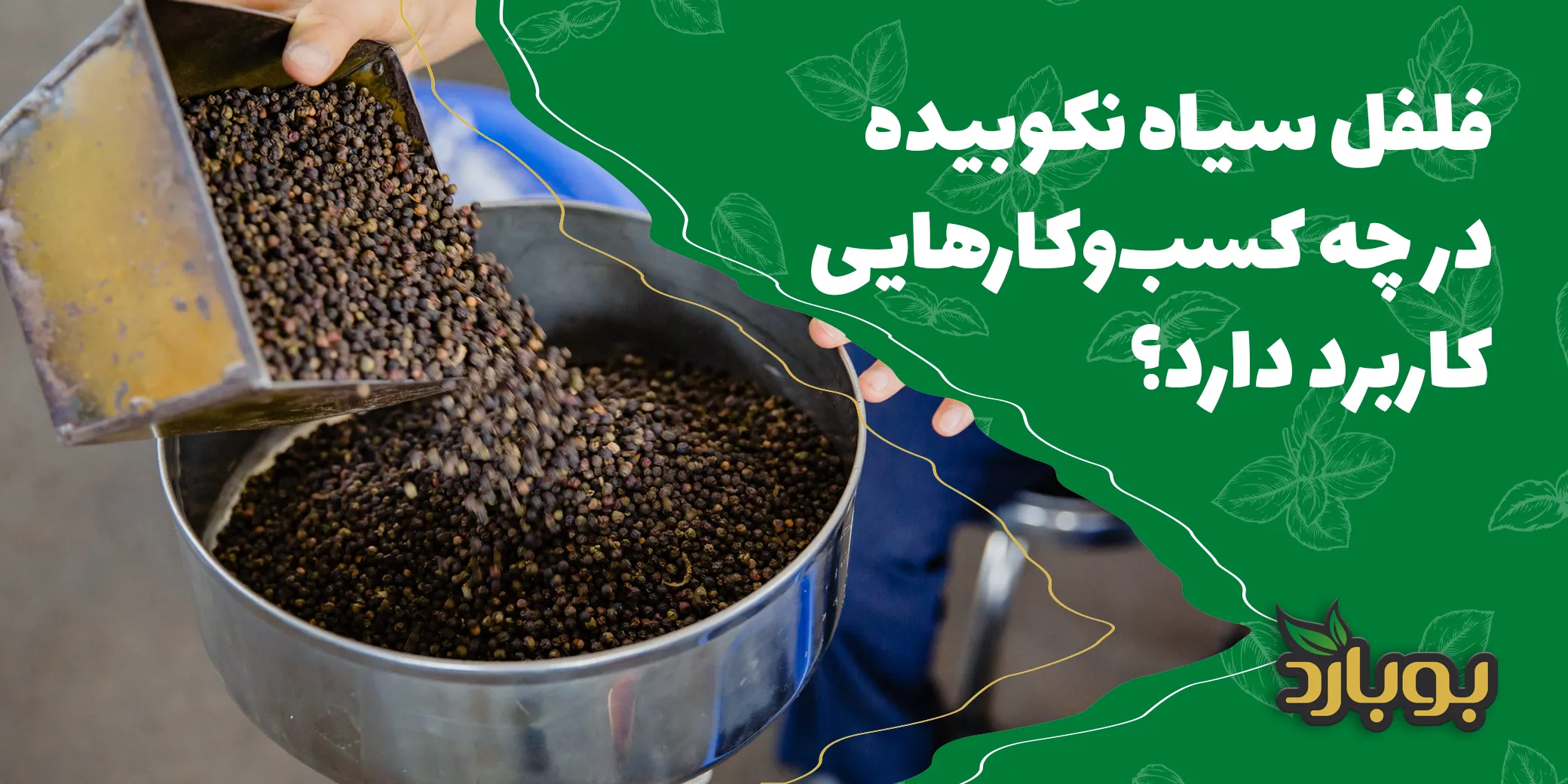 فلفل سیاه نکوبیده در چه کسب‌وکارهایی کاربرد دارد؟