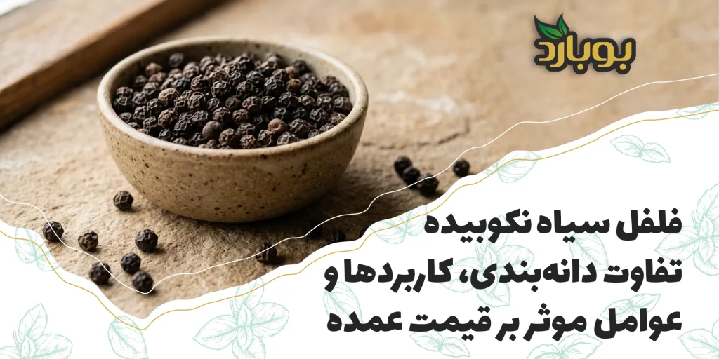 فلفل سیاه نکوبیده چیست؟ تفاوت دانه‌بندی، کاربردها و عوامل موثر بر قیمت عمده