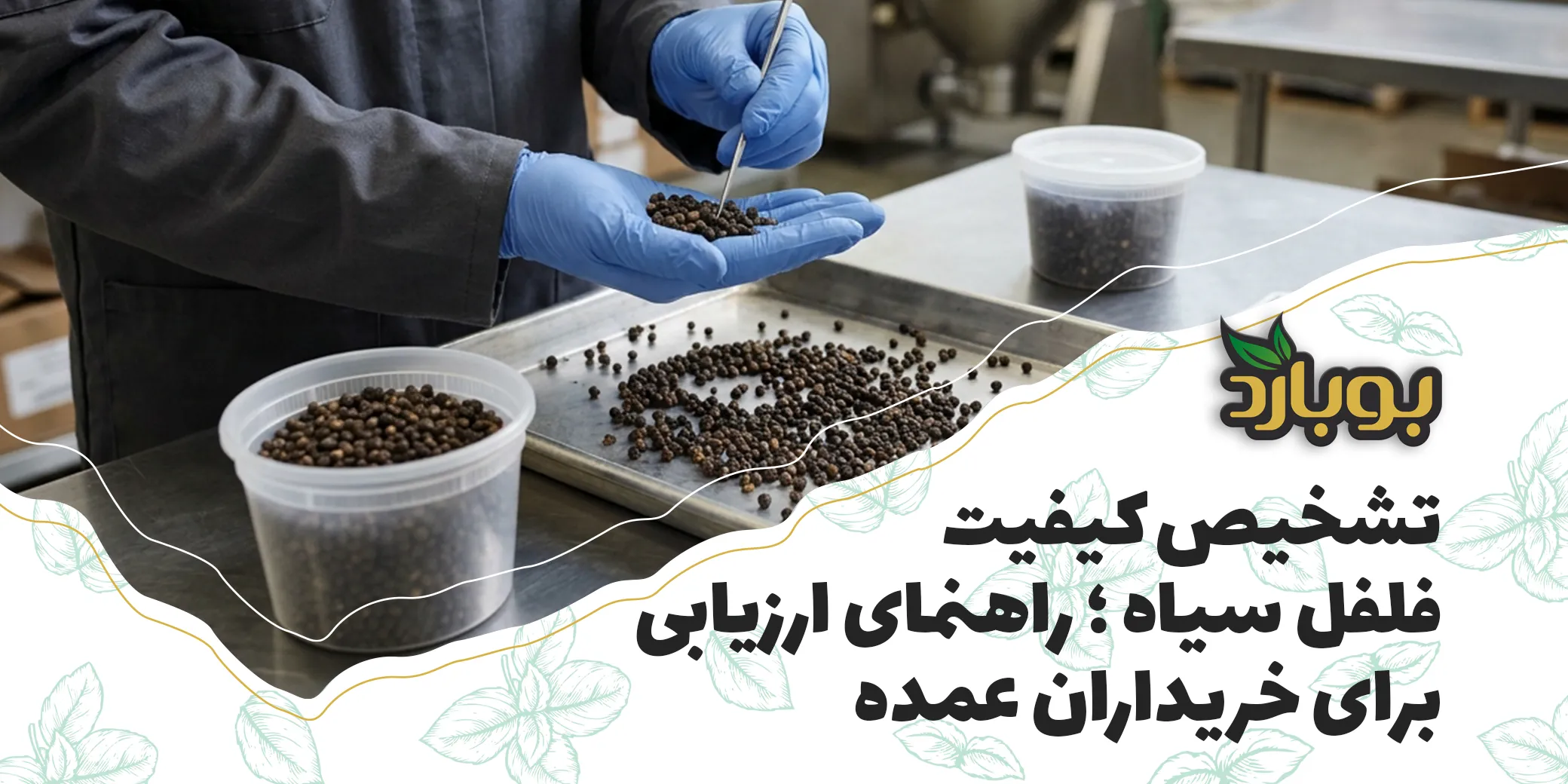 تشخیص کیفیت فلفل سیاه ؛ راهنمای ارزیابی برای خریداران عمده