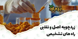 راه های تشخیص زردچوبه اصل از تقلبی ، خرید زردچوبه ، قیمت زردچوبه عمده اصل