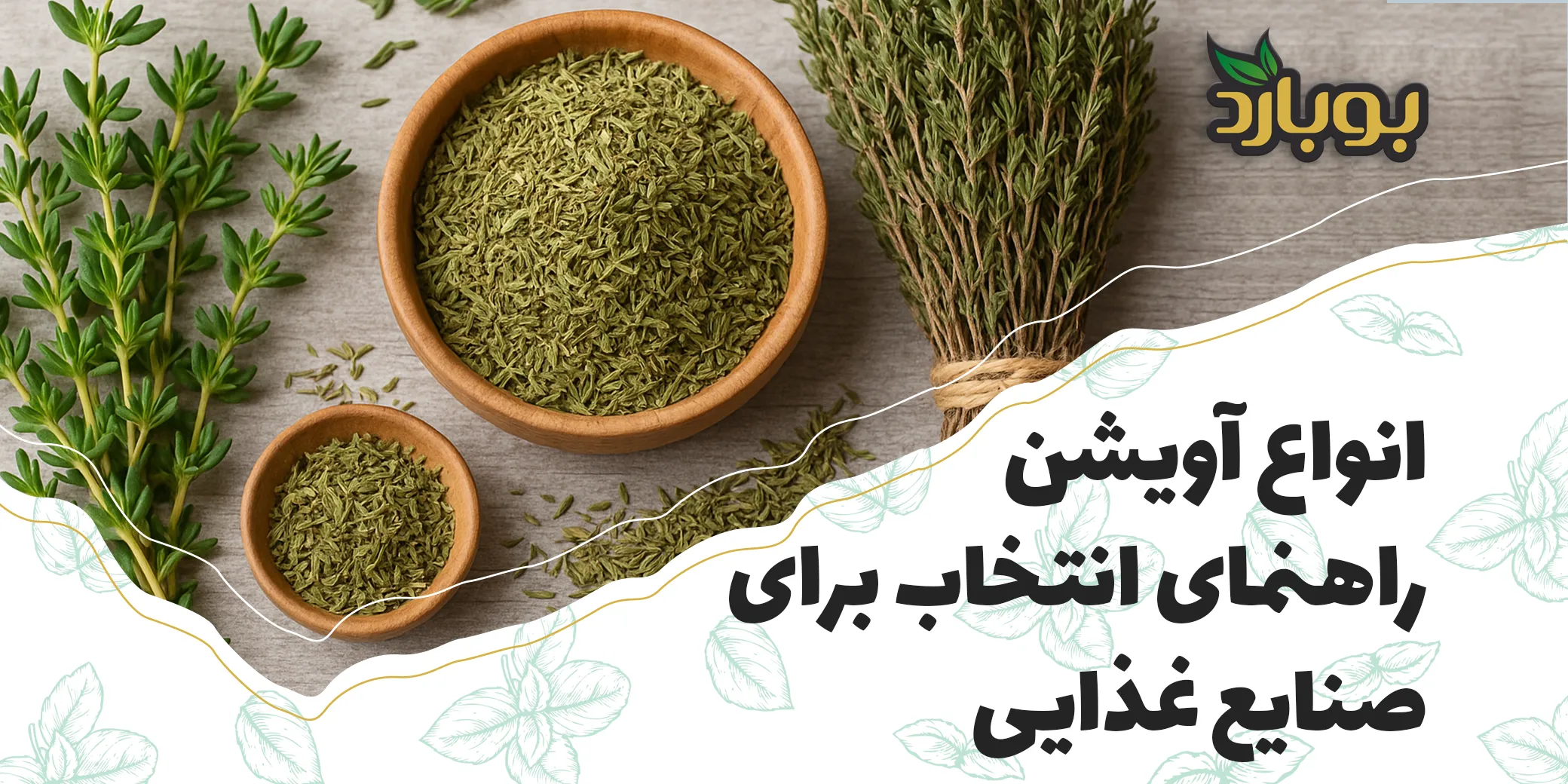 انواع آویشن و تفاوت آن‌ها ؛ راهنمای انتخاب برای صنایع غذایی