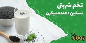 خرید عمده تخم شربتی ، جایگزین طبیعی تسکین میگرن