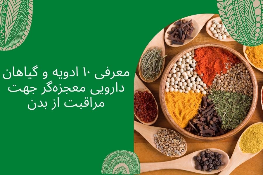 معرفی ۱۰ ادویه و گیاهان دارویی معجزه‌گر جهت مراقبت از بدن