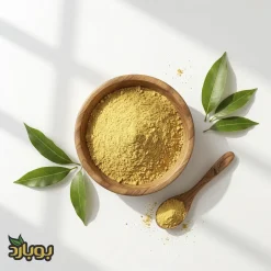 خرید عمده پودر انبه ، سایت ادویه بوبارد