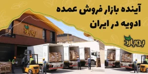 آینده بازار فروش عمده ادویه در ایران ، فروشگاه تخصصی ادویه بوبارد