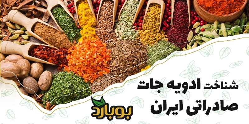 بررسی پر تقاضاترین ادویه‌جات که در بازار ایران بیشترین حجم فروش را دارند