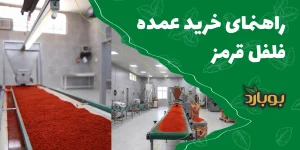 راهنمای خرید فلفل قرمز عمده ، فروشگاه تخصصی ادویه بوبارد