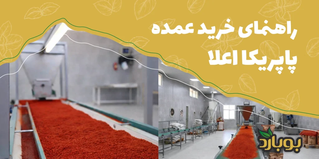 راهنمای کامل خرید فلفل پاپریکا اعلا عمده ، فروشگاه تخصصی ادویه جات بوبارد ، خرید پاپریکا عمده