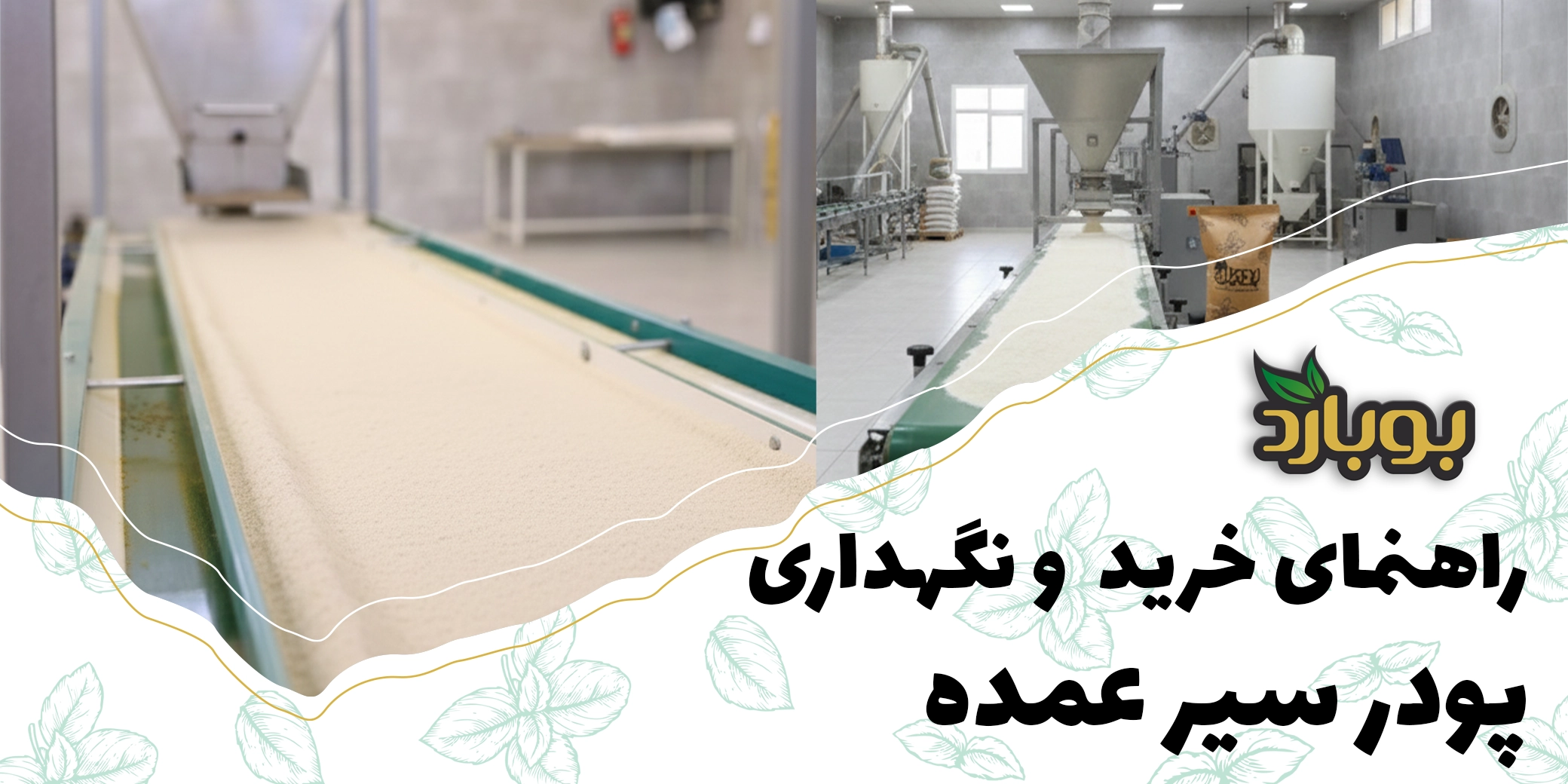 راهنمای کامل خرید پودر سیر با کیفیت و نکات مهم در خرید عمده