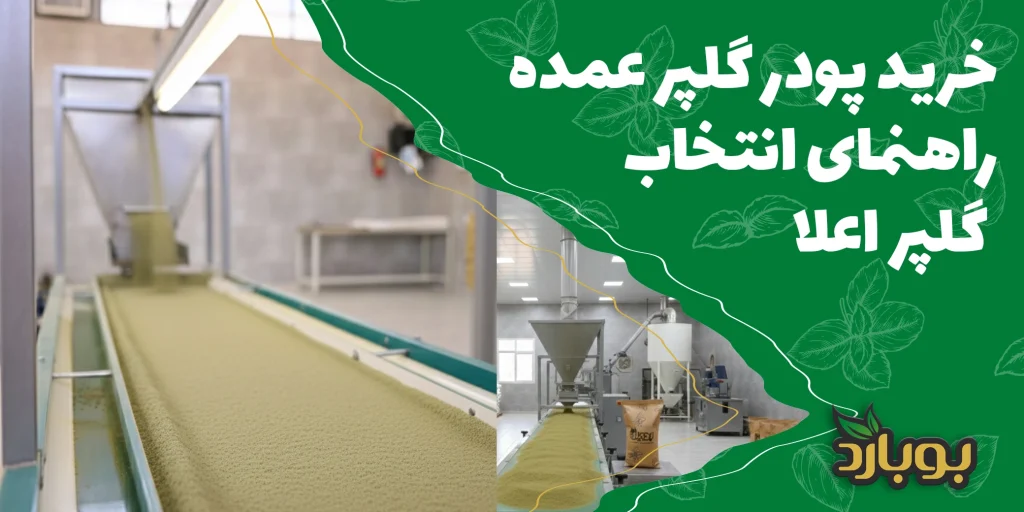 خرید پودر گلپر عمده ، راهنمای انتخاب پودر گلپر اعلا