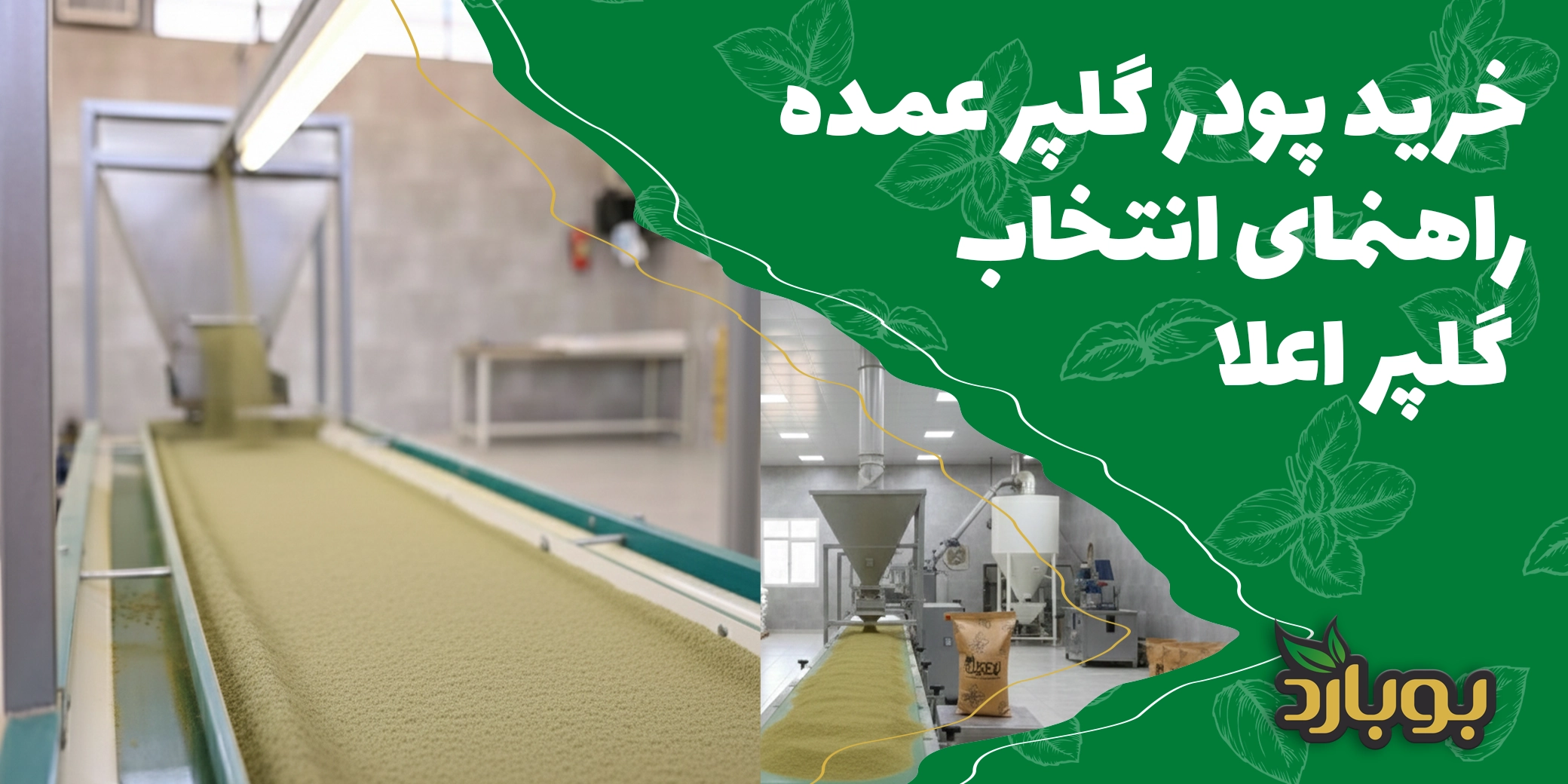 خرید پودر گلپر عمده ، راهنمای انتخاب پودر گلپر اعلا