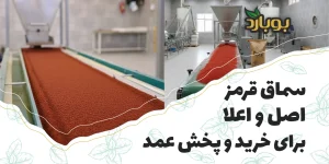 سماق قرمز اصل و اعلا برای خرید و پخش عمده ، خرید عمده سماق قرمز اصل