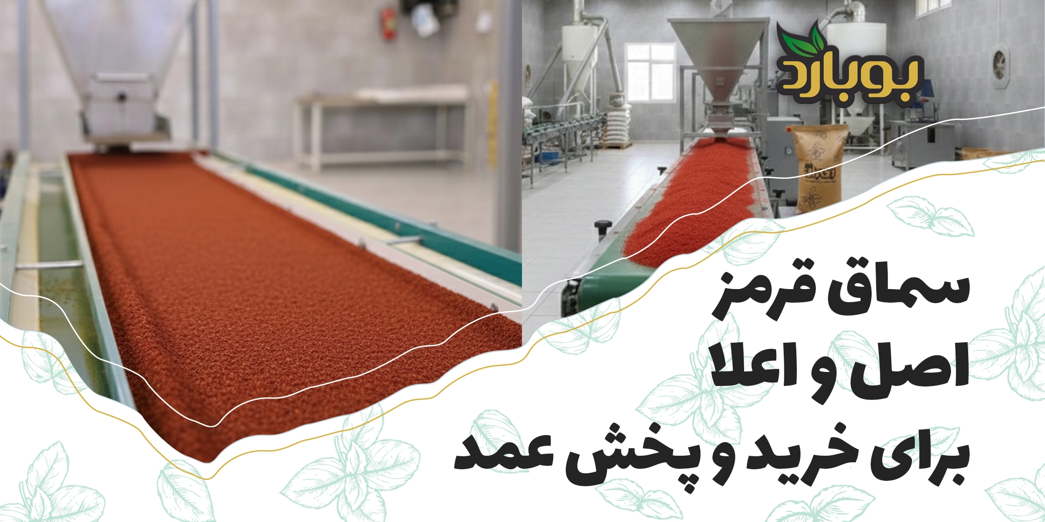 سماق قرمز اصل و اعلا برای خرید و پخش عمده ، خرید عمده سماق قرمز اصل