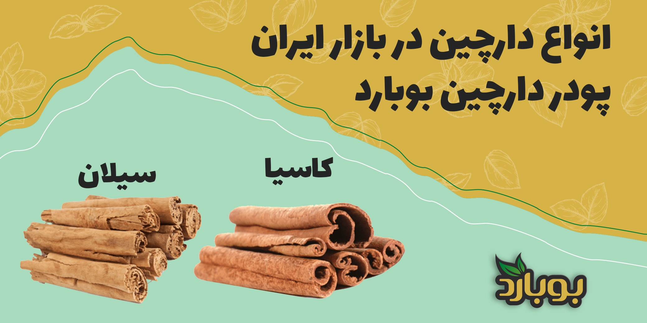 پودر دارچین چیست ؟ انواع آن در بازار ایران