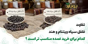 تفاوت فلفل سیاه ویتنام و هند ، کدام برای خرید عمده فلفل سیاه مناسب‌تر است؟