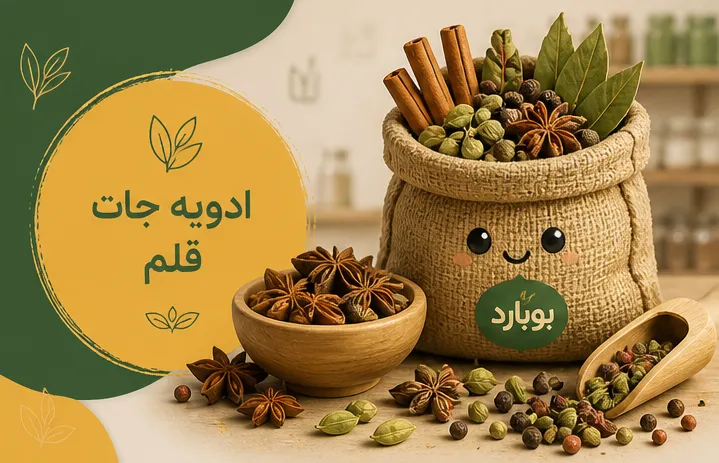 مرجع تخصصی خرید عمده ادویه جات قلم