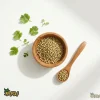 خرید تخم گشنیز سرتی به قیمت عمده ، تخم گشنیز کامل