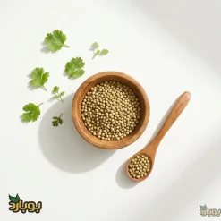 خرید تخم گشنیز سرتی به قیمت عمده ، تخم گشنیز کامل