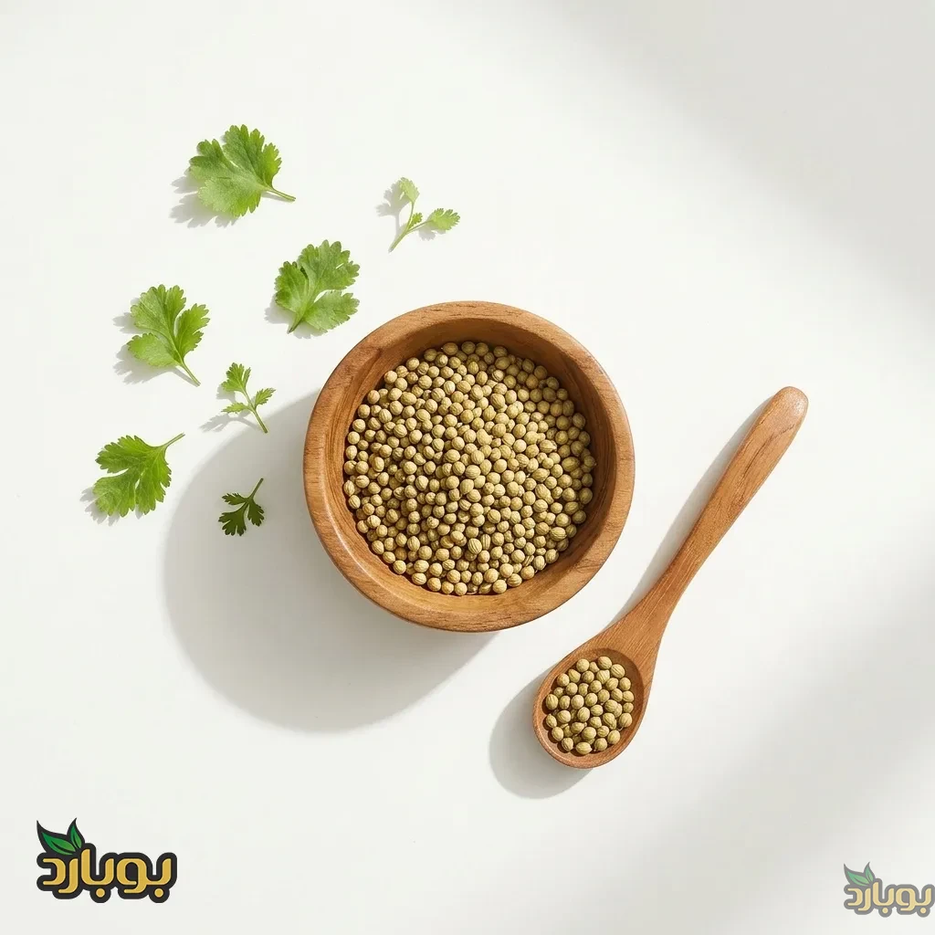 خرید تخم گشنیز سرتی به قیمت عمده ، تخم گشنیز کامل