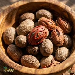خرید جوز درشت ناساب به قیمت عمده مستقیم از تامین کننده