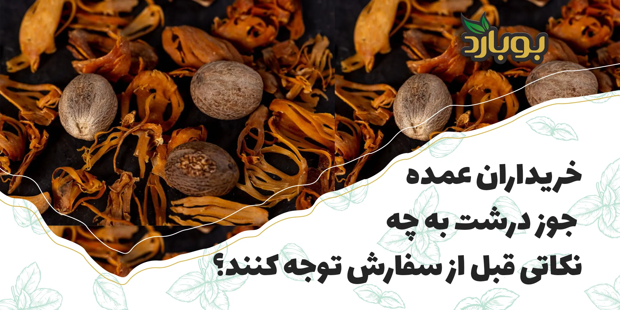 خریداران عمده جوز درشت به چه نکاتی قبل از سفارش توجه کنند؟