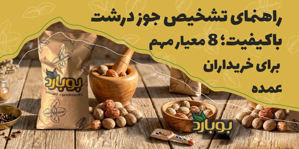 راهنمای تشخیص جوز درشت باکیفیت؛ ۸ معیار مهم برای خریداران عمده