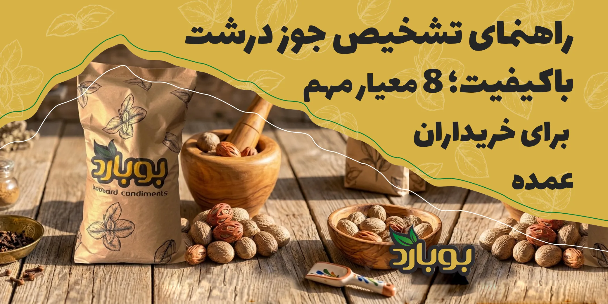 راهنمای تشخیص جوز درشت باکیفیت؛ ۸ معیار مهم برای خریداران عمده