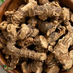 ریشه جوز هندی برای چه غذاهایی استفاده می‌شود؟ ، ریشه جوز عمده