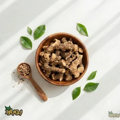 فروش عمده ریشه جوز هندی خسرو دار