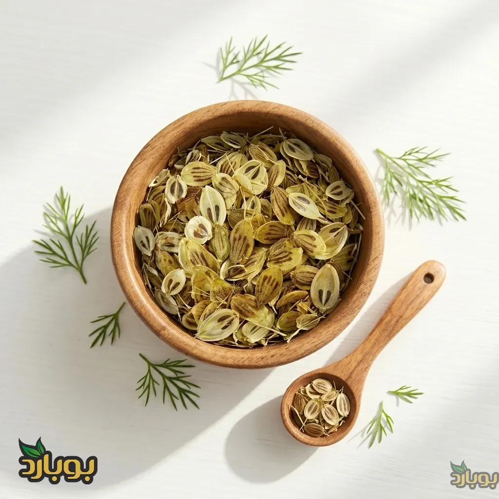 قیمت عمده گلپر ناساب ، گلپر درشت کیلویی عمده
