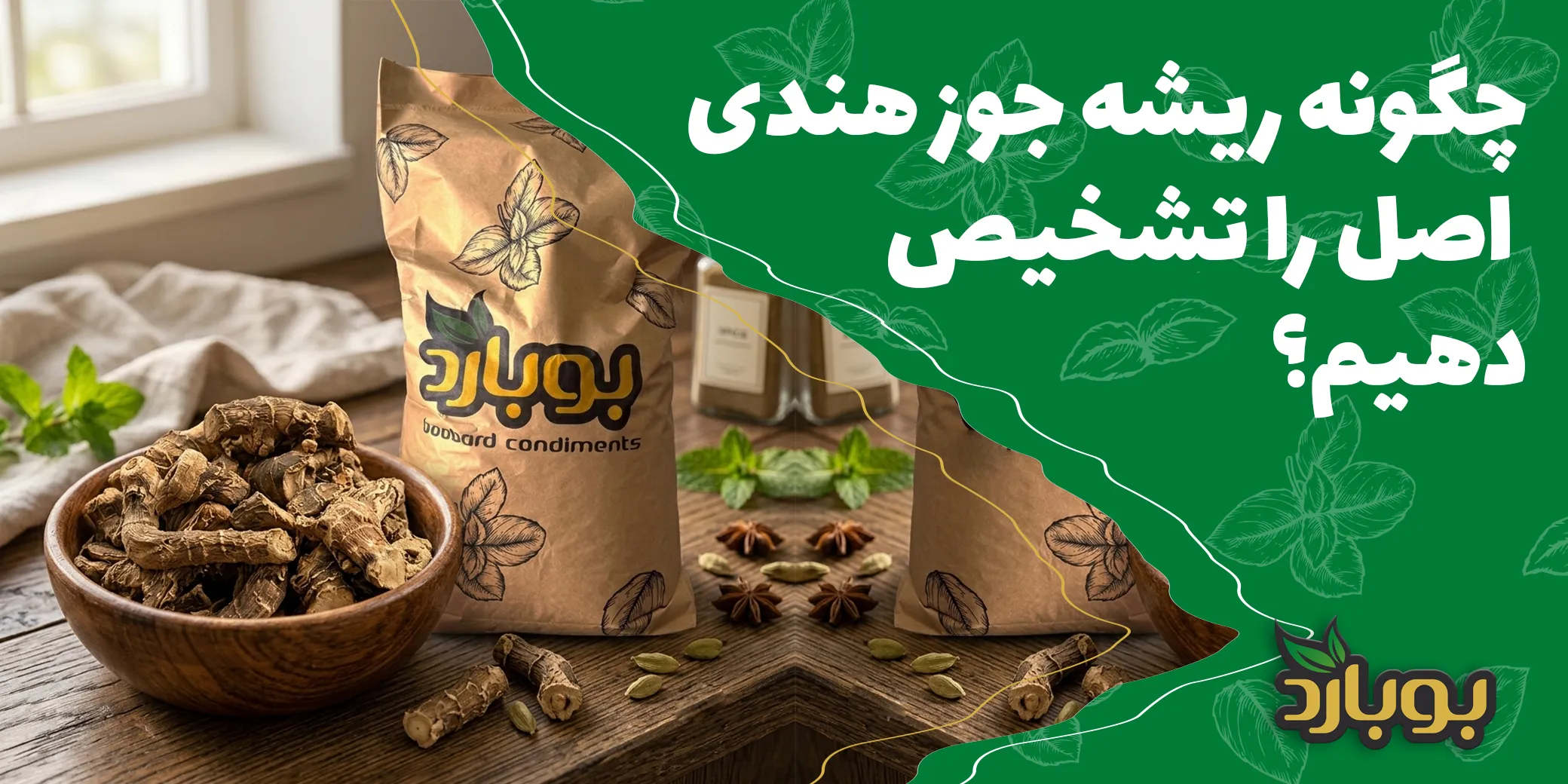 چگونه ریشه جوز هندی اصل را تشخیص دهیم؟