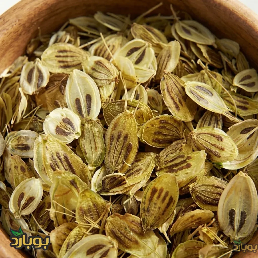 کاربردهای گلپر ناساب در صنایع غذایی