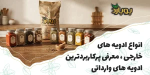 انواع ادویه های خارجی ؛ معرفی پرکاربردترین ادویه های وارداتی برای صنایع غذایی و خرید عمده