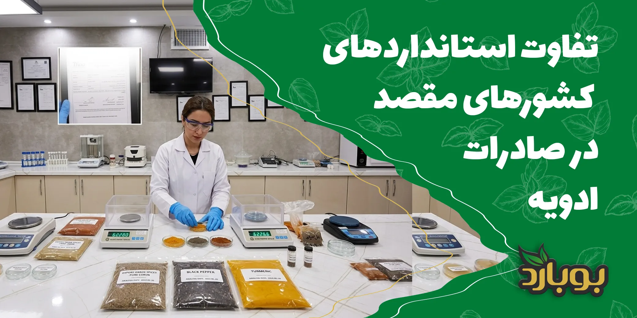 تفاوت استانداردهای کشورهای مقصد در صادرات ادویه