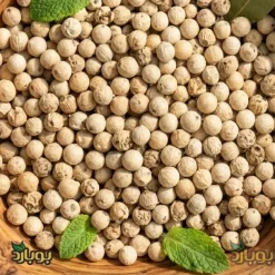 خرید دانه فلفل سفید عمده