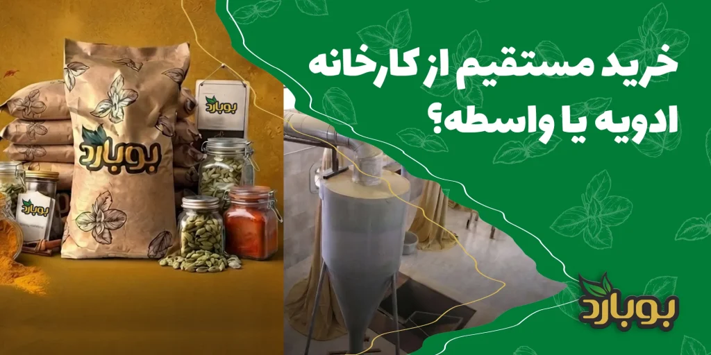 خرید مستقیم از کارخانه ادویه یا واسطه؟ کدام برای خریداران عمده به‌صرفه‌تر است؟