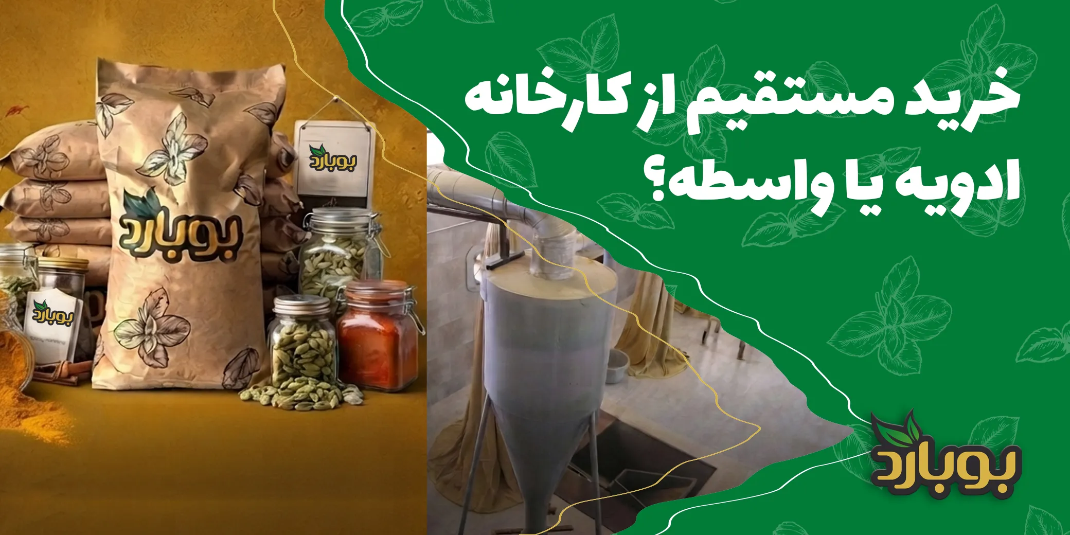 خرید مستقیم از کارخانه ادویه یا واسطه؟ کدام برای خریداران عمده به‌صرفه‌تر است؟
