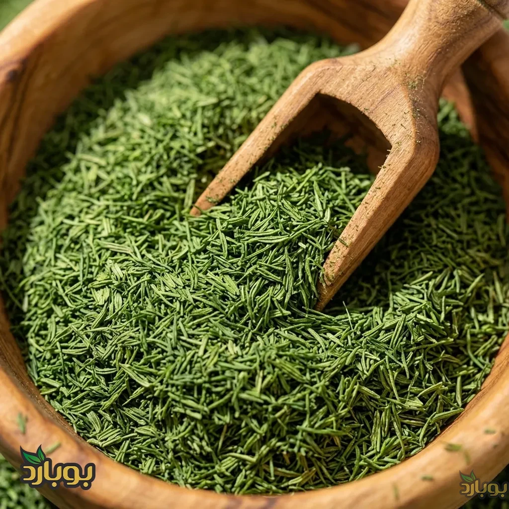 فروش عمده شوید خشک درجه یک ، قیمت پودر شوید خشک فله